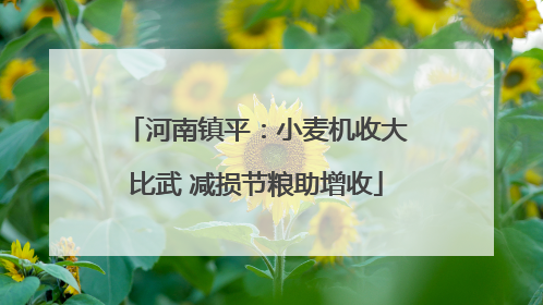 河南镇平：小麦机收大比武 减损节粮助增收